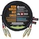 5 Foot RCA Cable Pair - Gotham GAC-4/1 (Black) Star-Quad Audio Interconnect Cable with Amphenol ACPR Die-Cast, Gold Plated RCA Connectors - Directional