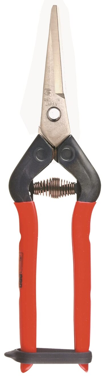 CHIKAMASA T-55SC Professional harvesting vegetable, fruit, wide gardening shears/scissors