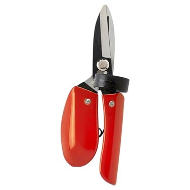 Corona ERGO Deadheader&acirc;&euro;&lsaquo; Snip
