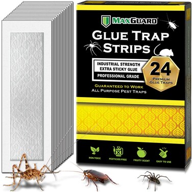MaxGuard Glue Trap Strips (24 Traps) Non-Toxic Extra Sticky Glue Board Pre-Baited with Fruity Scent Attractant Trap &amp; Kill Insects, Bugs, Spiders, Crickets, Scorpions, Cockroaches, Centipedes, Mice