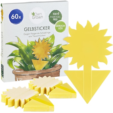 Yellow Sticky Traps for Gnats: 60x Sticky Fly Traps for Indoors &acirc;&euro;&ldquo; Gnat Traps for House Indoor Plants &acirc;&euro;&ldquo; Fruit Fly Trap OwnGrown