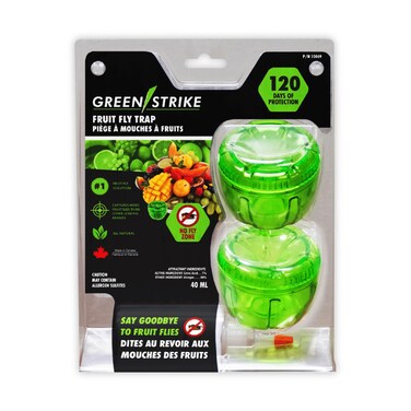 GREENSTRIKE 2-Pack Fruit Fly Traps for Indoors use. 120 Days Solution &acirc;&euro;&ldquo; Gnat Trap and Effective Fruit Fly Trap &acirc;&euro;&ldquo; Easy to Use &acirc;&euro;&ldquo; Best for Kitchen &acirc;&euro;&ldquo; Dining Areas - Reusable