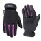 Women&#39;s Hi-Dexterity Winter Gloves, 40-gram Thinsulate, Synthetic Leather Palm, Medium (Wells Lamont 7770M) , Black