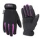 Women's Hi-Dexterity Winter Gloves, 40-gram Thinsulate, Synthetic Leather Palm, Medium (Wells Lamont 7770M) , Black