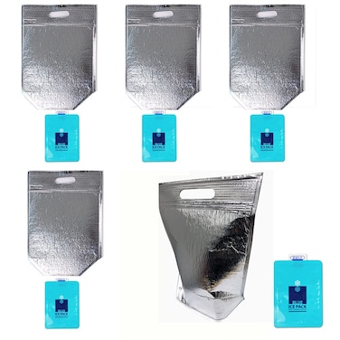 Insulated Easy Zip Lock Resealable Aluminum Sandwich Bag - Reusable Thermal Lunch Snack Bento Picnic Hot &amp; Cold Pouch (5pcs, Small - 9.8 x 13.5 Inch)