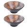 Cerficer 32 Oz Japanese Ramen Bowl Set of 2 Ceramic Noodle Bowls for Pho Cereal Soup(YSH)