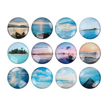 Glass Strong Sea Ocean Refrigerator Magnets,12 Pack Magnetic Fridge Stickers,Whiteboard Cabinet Locker Dishwasher Magnets for Kitchen Office Classroom Supplies (Sea Refrigerator Magnet)