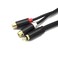 REXUS RCA Connector Audio Cable Male to 2 Famale 1 feet(2 Pack), RCA Stereo Audio Y-Adapter Splitter Cable Hi-Fi Sound Gold Plated Copper Shell(RCA_M2FF3*2)