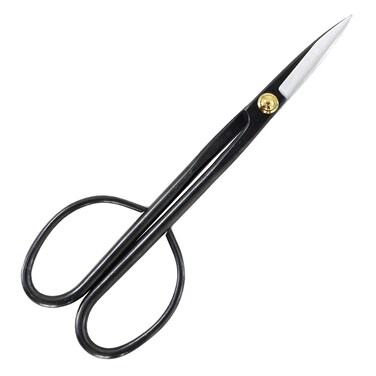 Wazakura Twig Bonsai Scissors Made in Japan 8-1/4inch(210mm), Japanese Bonsai Garden Tools, Hasami Pruning Shears - Long Handle Black