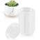 UltraOutlet 40 Pack 4 Inch Plant Saucer Clear Plant Saucers for Indoors Flower Pot Saucers Small Plant Plate Dish Plant Pot Saucers Plant Trays for Pots Bulk