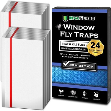 MaxGuard Window Fly Traps (24 XL Traps) Catch &amp; Kill Houseflies, Flying Insects &amp; Bugs. Non-Toxic Sticky Glue Traps Fly Killer Clear Strip Insect Catcher Safe No Zapping with Zapper