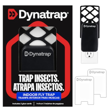 Dynatrap DT3007 Indoor Plug-in Fly Trap for Flies, Fruit Flies, Moths, Gnats, and Other Flying Insects - 1 Black Device + 2 Glue Cards