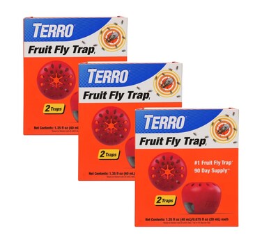 TERRO T2503-3 Ready-to-Use Indoor Fruit Fly Trap with Built in Window - 6 Traps + 270 Day Lure Supply