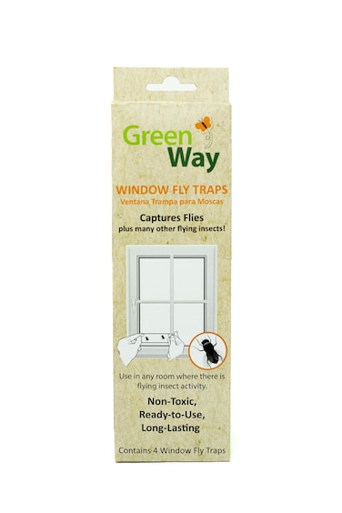 Insects Limited Greenway Window Fly Traps (4 Traps) - Sticky Traps for Gnats and Flies - Alternative to Refillable Glue Boards