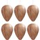 DECYOOL 6 Pack Paper Wasp Nest Decoy Hanging Wasp Deterrent for Hornets Yellow Jackets