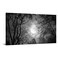 Visual Art Decor Black and White Full Moon Picture Wall Decor Nature Forest Landscape Wall Art Night Scenery Art Print Framed Ready to Hang, 20inchx36inch