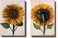 Sunflowers Picture on Stretched Canvas, Set of 2, Wall Art Decor Ready to Hang!.