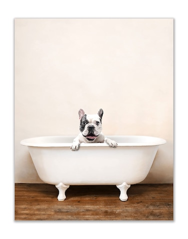 French Bulldog Bathroom Art Poster Print,Funny Cute Unique Bathroom Bathtub Dog Puppy,Single (11x14) Inch Unframed Photos,Frenchie Wall Decor, French Bulldog Art, French Bulldog Print