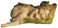 Top Collection Enchanted Story Fairy Garden Sleeping Fairy Baby with Little Frog Outdoor Statue