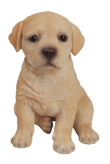 Hi-Line Gift Ltd Labrador Puppy Statue, Yellow