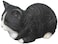 Hi-Line Gift Ltd Sleeping Cat Statue, Black/White