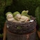 Top Collection Miniature Fairy Garden and Terrarium Sleeping Twin Fairy Babies in Nest Statue