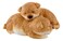 Top Collection Miniature Garden Puppies Cuddling