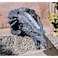Design Toscano Sir Gawain's Dragon Sculpture