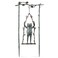 SPI Daredevil Frog on Swing Garden