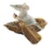 Top Collection Miniature Fairy Garden &amp; Terrarium Mouse Rowing Boat Statue