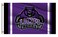 Central Arkansas Bears Flag Outdoor,Outside 3x5 Banner, Double Sided