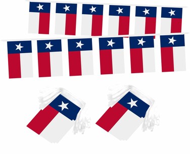 LUSEOAN 2 Packs Texas Mini Flag Banner String State of Texas Small Miniature Hanging Flags Decorations,60 Feet 40 Flags