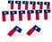 LUSEOAN 2 Packs Texas Mini Flag Banner String State of Texas Small Miniature Hanging Flags Decorations,60 Feet 40 Flags