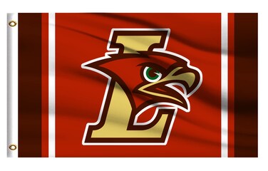 Lehigh Mountain Hawks Flag Outdoor,LU Outside 3x5 Banner, Double Sided