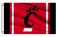 Cincinnati Bearcats Flag Outdoor,Outside 3x5 Banner, Double Sided