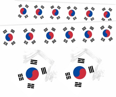 LUSEOAN 2 Packs South Korea Mini Flag Banner String Korean Small Miniature Hanging Flags Decorations,60 Feet 40 Flags