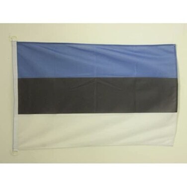 AZ FLAG Estonia Flag 2' x 3' for Outdoor - Estonian Flags 90 x 60 cm - Banner 2x3 ft Knitted Polyester with Rings