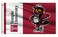 Temple Owls College Flag Outdoor,Outside 3x5 Banner, Double Sided