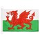 Wales NAUTICAL Flag 18'' x 12'' - Welsh flags 30 x 45 cm - Banner 12x18 in for boat - AZ FLAG