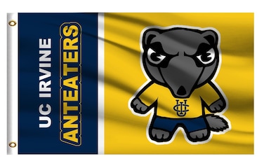 College Flag Outdoor Compatible for UC Irvine Anteaters California UCI,Outside 3x5 Banner, Double Sided