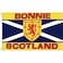 AZ FLAG - Bonnie Scotland Flag - 2x3 Ft - 100D Polyester Scottish Banner with Two Metal Grommets - Fade Resistant - Vivid Colors - 2' x 3' Feet - 90x60 Cm