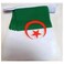 Algeria 6 meters BUNTING Flag 20 flags 9'' x 6'' - Algerian STRING flags 15 x 21 cm - AZ FLAG