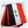 AZ FLAG Iraq 6 Meters Bunting Flag 20 Flags 9'' x 6'' - Iraqi String Flags 15 x 21 cm