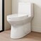 SOTOMO Compact ADA Compliant Toilet, 12" Rough-in Elongated One-Piece Toilet with Quick Release &amp; Soft Close Toilet Seat, 1.1/1.6 GPF Dual Flush Water-Saving Modern White Toilet for Bathroom, aMJ-T138
