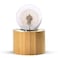 SHTWX Musical Box Real Specimens Dandelion Ball with Wood Base Music Box Gift for Christmas/Birthday/Valentine's Day (Melody Spirited Away)