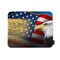 Beabes American Flag Eagle Mouse Pad Non-Slip Natural Rubber Base, 9.5X7.9 Inch Cool Bald Eagle USA Flag Computer Mousepad Mouse Pads for Computers, Laptop, Gaming, Office &amp; Home