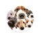 LQFIWSS Round Mouse Pad Dog Design, Professional Customized Non-Slip Rubber Gaming Mouse Pad, Good Gift for Office Work and Home Computer Accessories