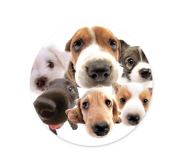 LQFIWSS Round Mouse Pad Dog Design, Professional Customized Non-Slip Rubber Gaming Mouse Pad, Good Gift for Office Work and Home Computer Accessories