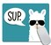Amcove Sup Llama Mouse Pad Custom, Simple Alpaca Head with Sunglasses Design Customized Rectangle Non-Slip Rubber Mousepad Gaming Mouse Pad