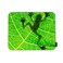 Beabes Frog Square Mousepads Desktop Notebook Mouse Mat Animal Tree Frog Shadow On Green Tree Leaf Mouse Pads for Working and Gaming Office Accessories Desk 9.5X7.9 Inch